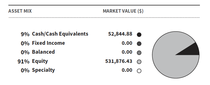 Asset Mix
