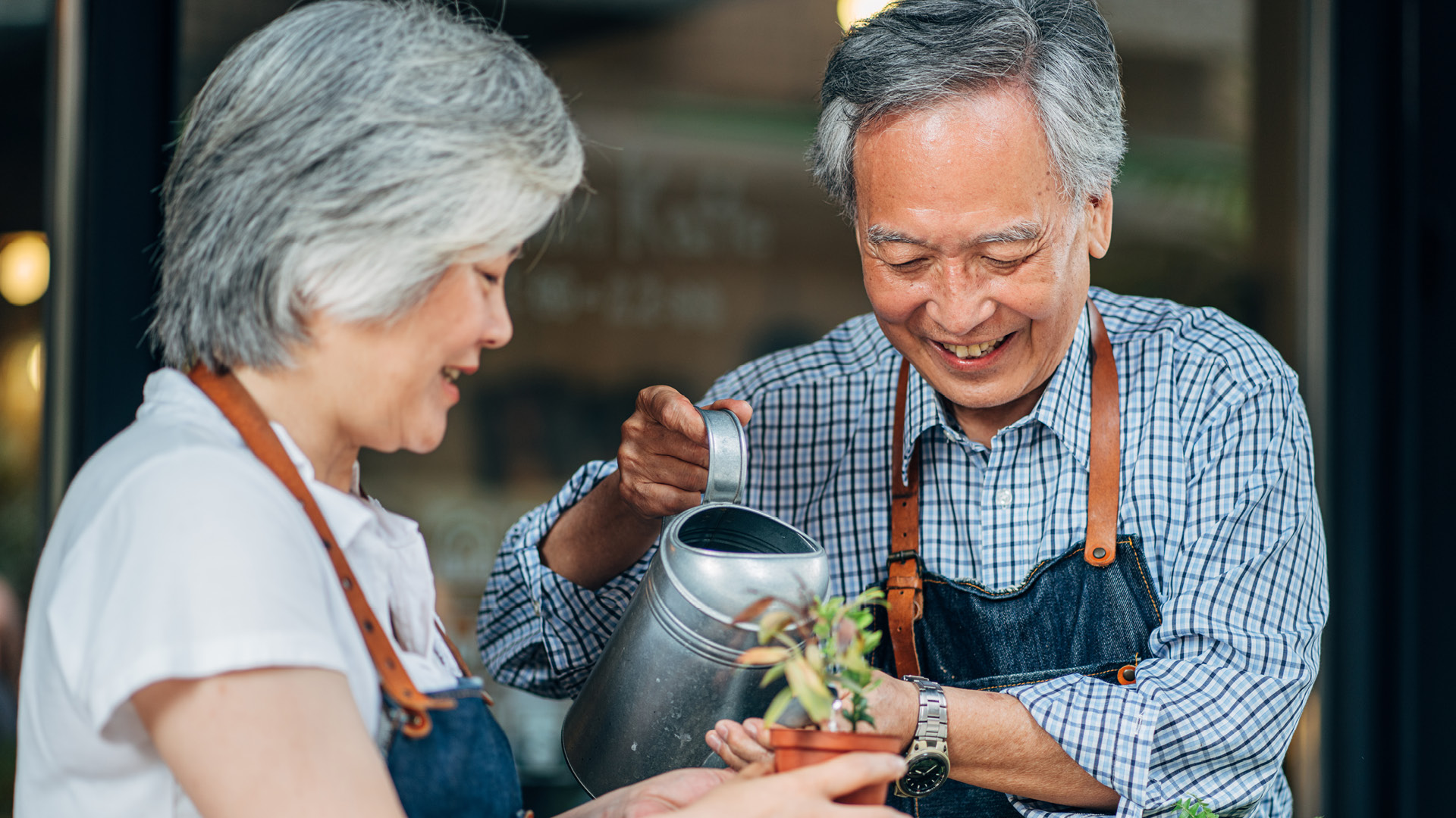 What happens if you die without a will in Canada?