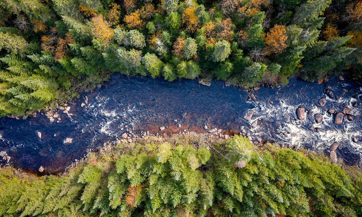 Climate Action Portfolios Carbon Offsetting