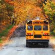 Fall Finances 