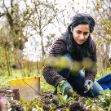 Pro-tips to make the most of your garden this spring