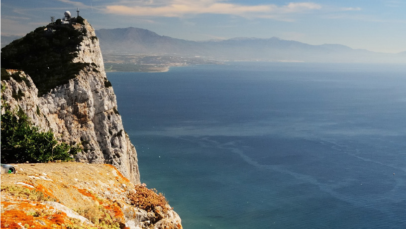 iProfile managed solutions