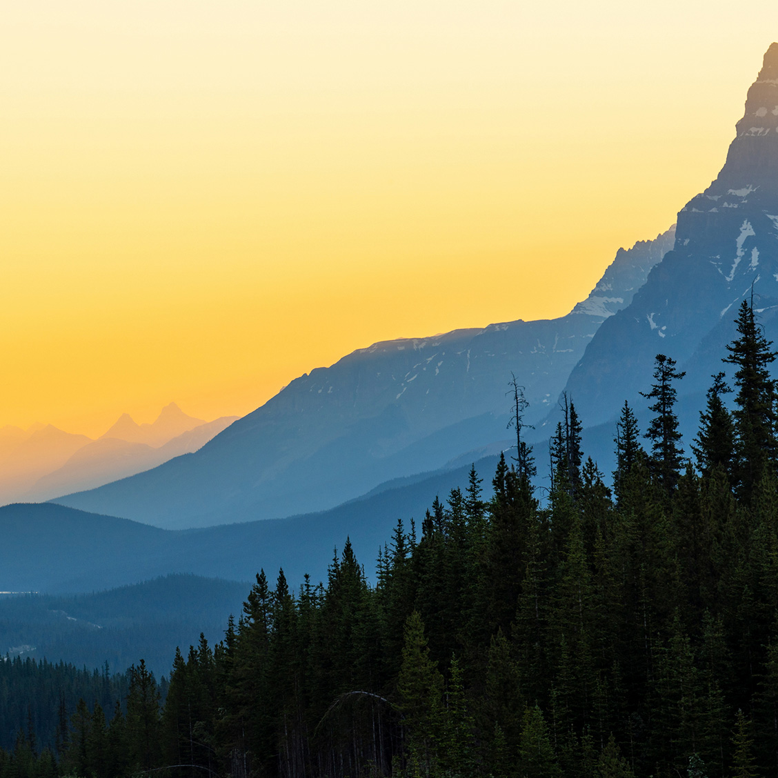 iProfile managed solutions